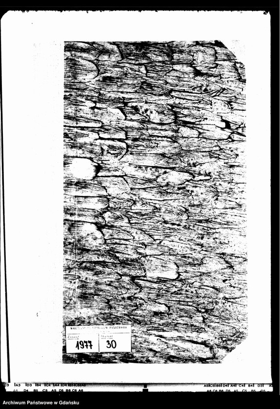image.from.unit.number "Księga małżeństw"