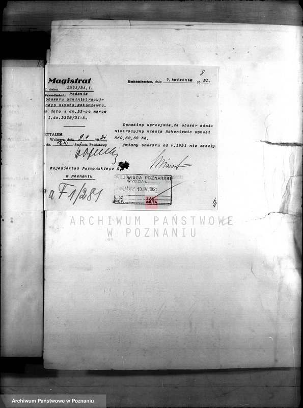 Obraz 12 z jednostki "Administracja miasta Rakoniewice"