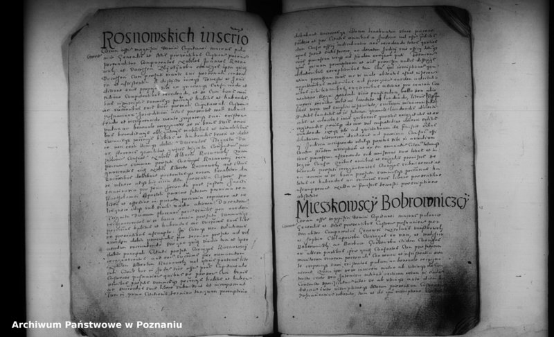 Obraz 12 z jednostki "Inscriptiones [inducta]"