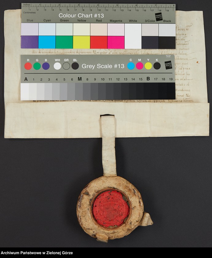 Obraz 2 z jednostki "Zygmunt, król polski, na prośbę międzyrzeczan, poleca poddanym mieszkającym na wsi a uprawiającym grunty miejskie, przenieść się do Międzyrzecza i"