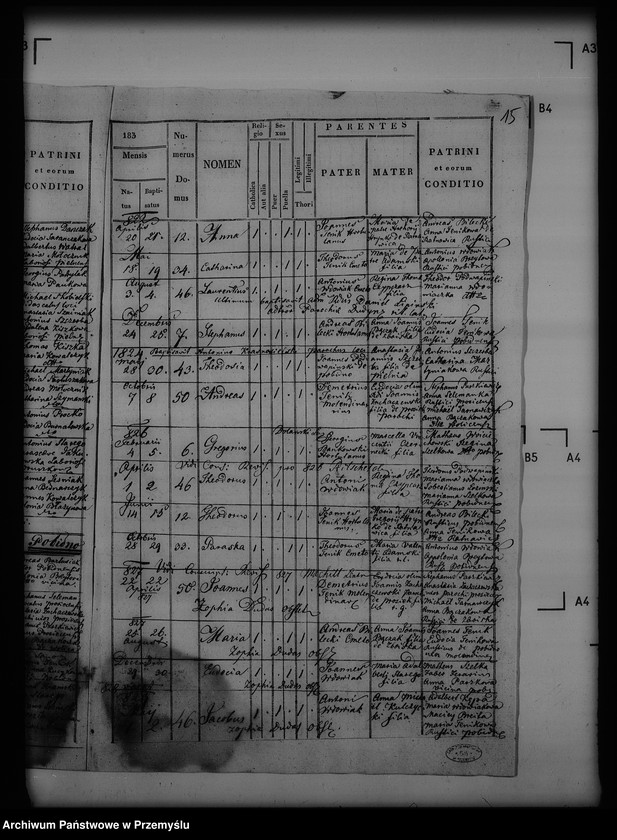 image.from.unit.number "[Kopie ksiąg metrykalnych parafii Pielnia z filiami Dudyńce, Pobiedno, Jędruszkowice, Markowice, Podgaj (dekanat Buków)]"