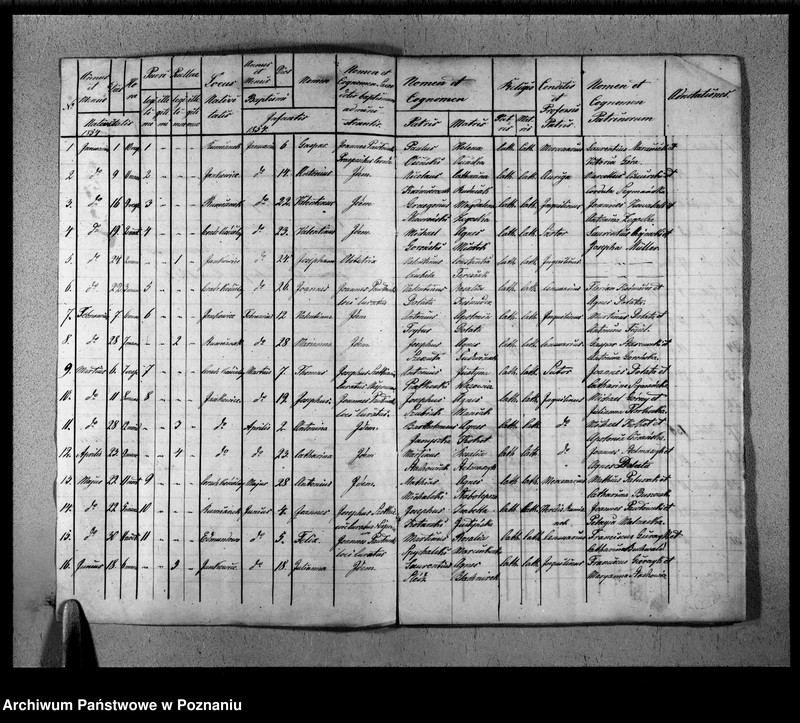image.from.unit.number "Duplikat baptisatorum, copulatorum, mortuorum"