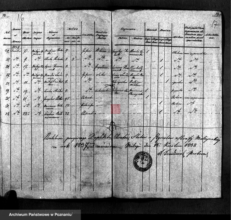 Obraz 10 z jednostki "Liber baptisatorum, copulatorum, mortuorum"