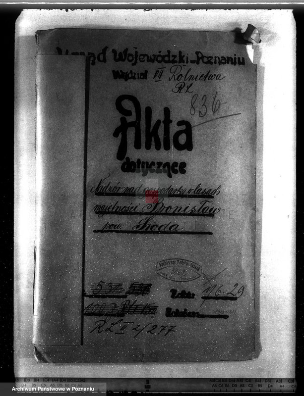 Obraz 4 z jednostki "Nadzór nad gospodarką w lasach majętności Bronisław"