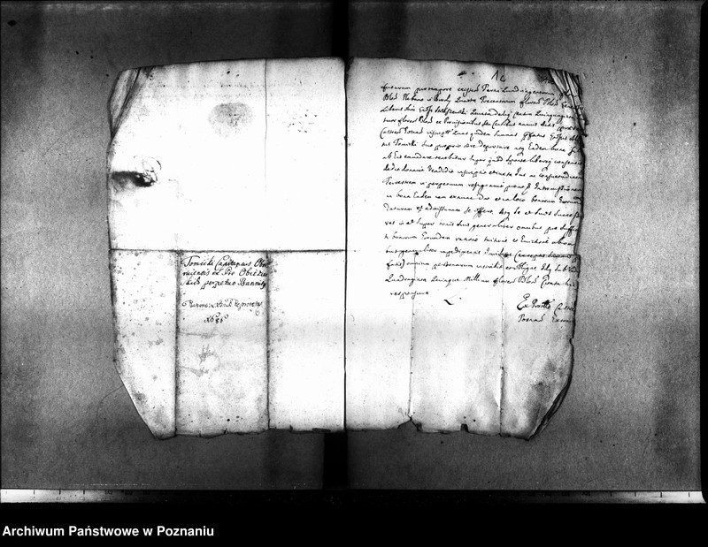 Obraz 7 z jednostki "Inscriptiones, relationes, decreta [inducta]"