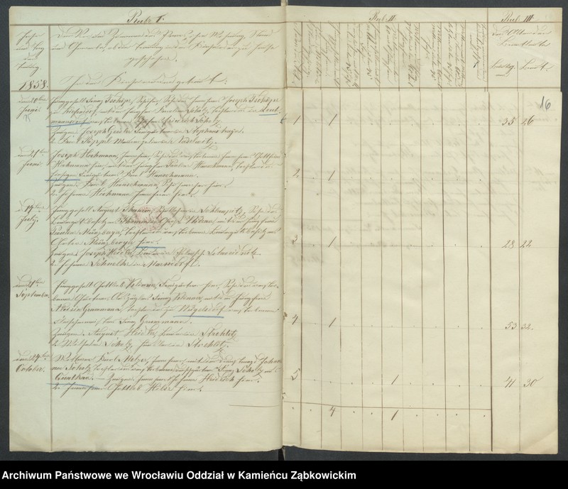 image.from.unit.number "Amtsgericht Schweidnitz Duplicate der Kirchenbücher der katholische Kirche zu Strehlitz"