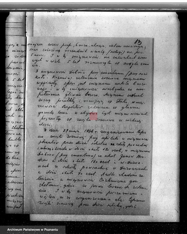 Obraz 18 z jednostki "Zalesienie nieużytków w powiecie kolskim"