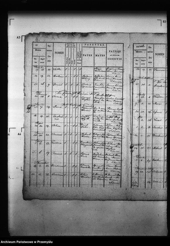 image.from.unit.number "[Kopie ksiąg metrykalnych parafii Grochowce z filiami Kniażyce, Koniuszki, Witoszyńce (dekanat Niżankowice)]"