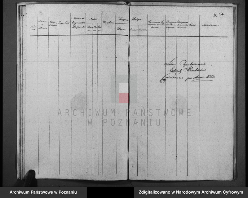 Obraz 13 z jednostki "Duplicatum baptisatorum, copulatorum, mortuorum"