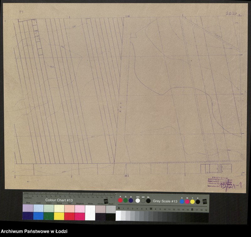 Obraz 1 z jednostki "Plan m. Łodzi 1:2000, odbitki. Sekcja SO 34"