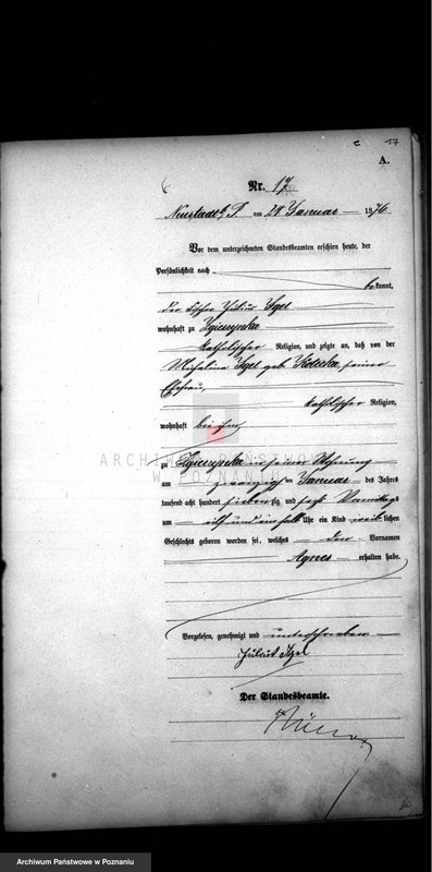 image.from.unit.number "Księga urodzeń"