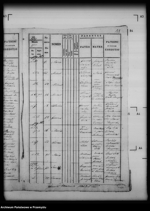 image.from.unit.number "[Kopie ksiąg metrykalnych parafii Przedzielnica z filiami Grabownica, Hubice, Podmojsce (dekanat Dobromil)]"