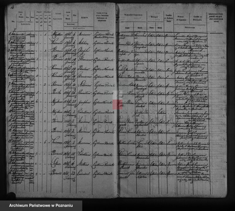 Obraz 11 z jednostki "Duplicat copulatorum, baptisatorum, mortuorum"