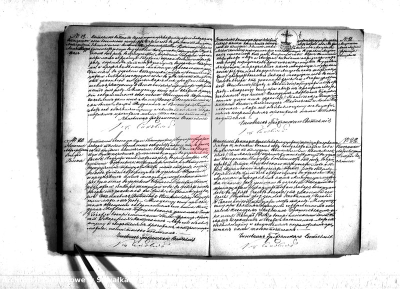 Obraz 8 z jednostki "Duplikat serejskago prichoda na 1875 god"