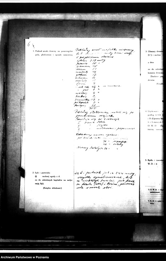 Obraz 10 z jednostki "Rewizje majątku państwowego Zalesie"