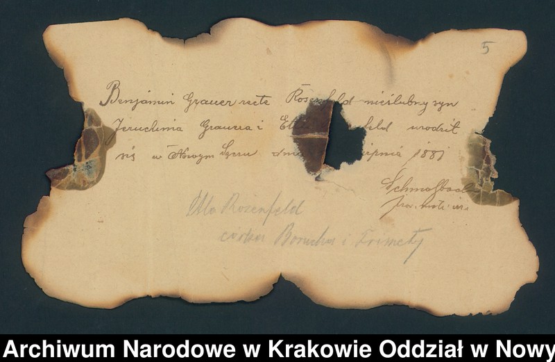 image.from.unit.number "Księga konskrypcyjna ludności miasta Nowy Sącz - stałej i niestałej"