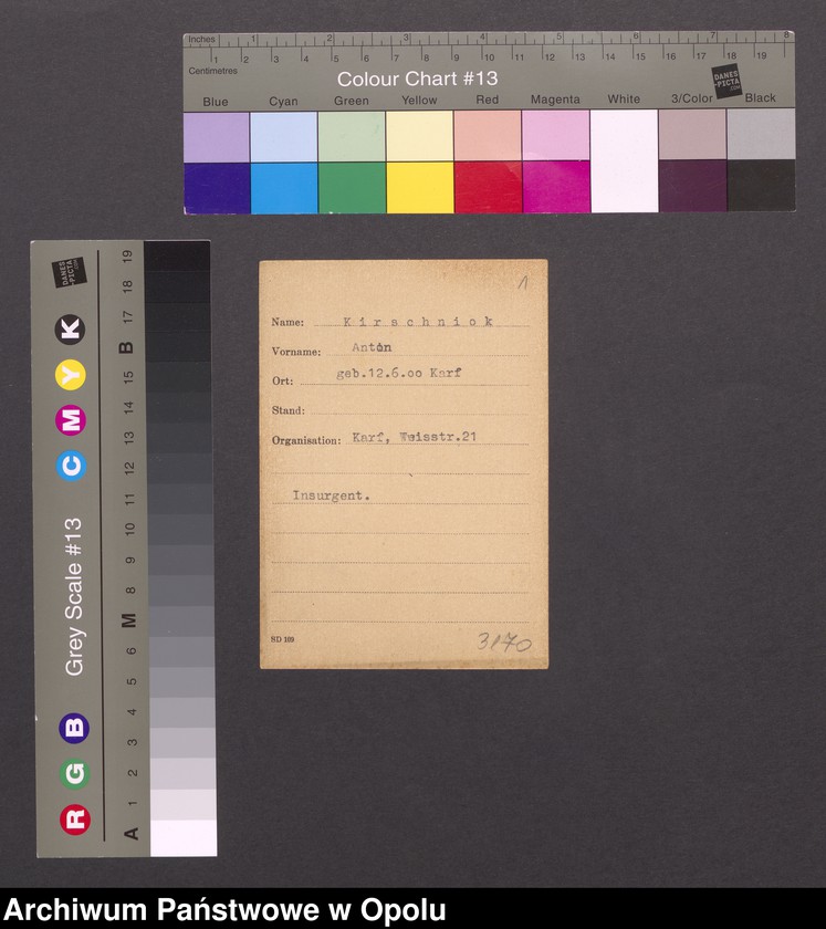 Obraz 3 z jednostki "[Kirschniok Anton]"