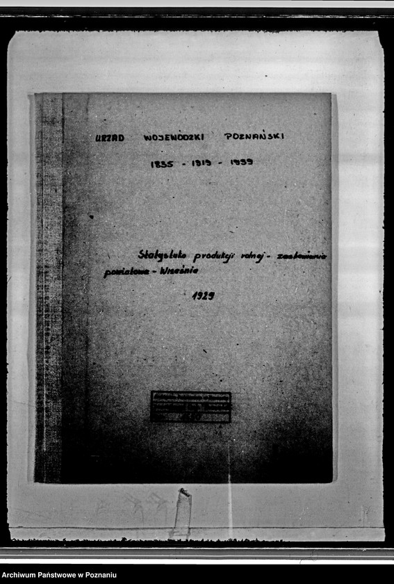 Obraz 4 z jednostki "/Statystyka produkcji rolnej - zestawienie powiatowe - Września/"