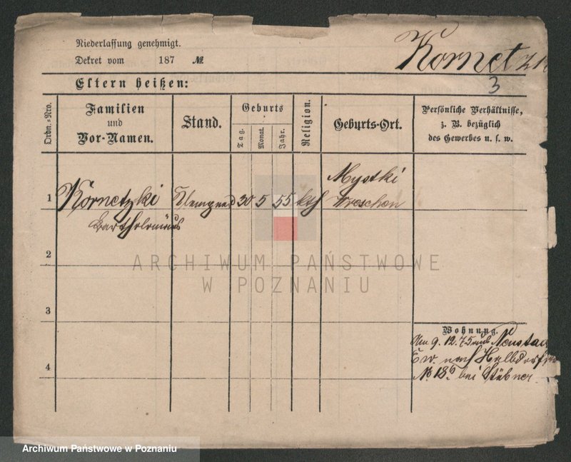 Obraz 3 z jednostki "Kornecki - Kortus"