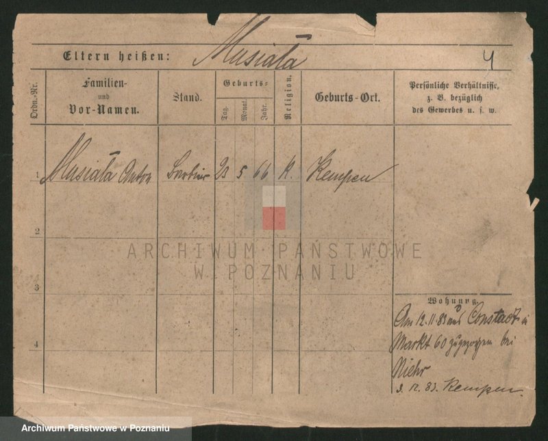 Obraz 4 z jednostki "Musiała - Muskieta"