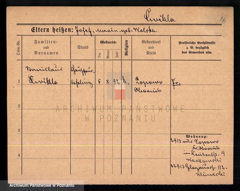 Obraz 18 z jednostki "Ćwikła - Cypliński"