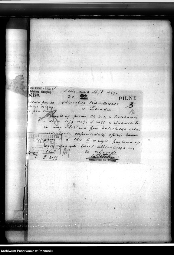 Obraz 20 z jednostki "Sprawa o niedostateczne zalesienie lasu 16,24 ha w majątku Tłokinia"