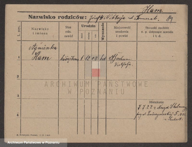 Obraz 14 z jednostki "Ham - Hamzykiewicz"