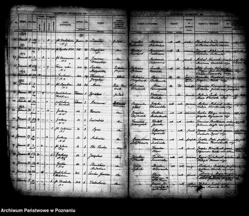 Obraz 4 z jednostki "Księga urodzin"