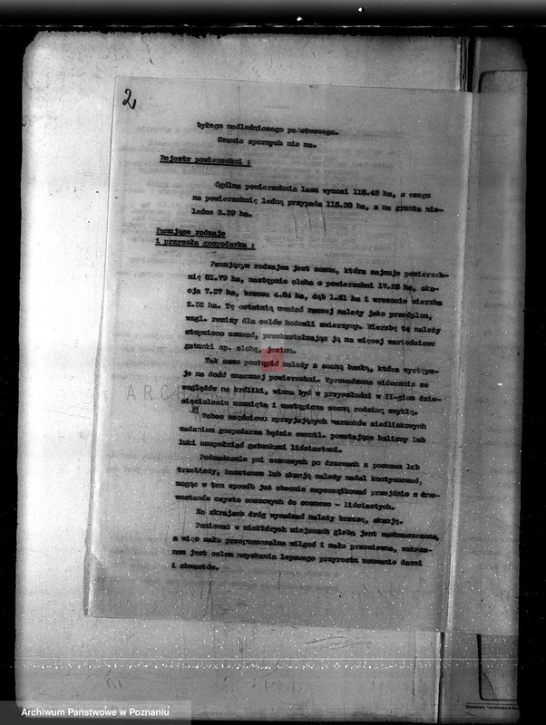 Obraz 6 z jednostki "Plan urządzania gospodarstwa leśnego dla lasu majętności Borówkowo-Stare i Piotrkowice powiat kościański"