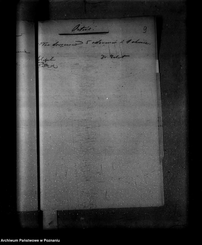 Obraz 13 z jednostki "/Doręczanie odznaczeń od października 1938 do grudnia 1938/"