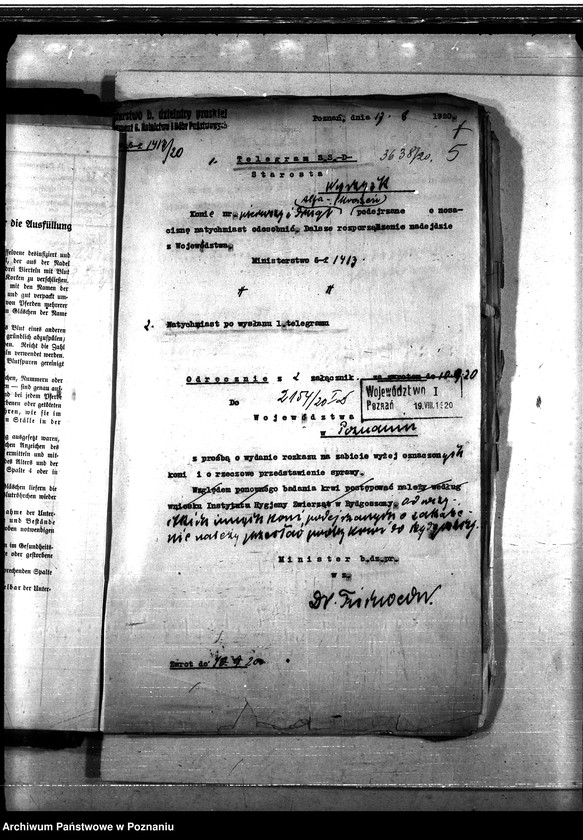 Obraz 9 z jednostki "Nosacizna - Wyrzysk"