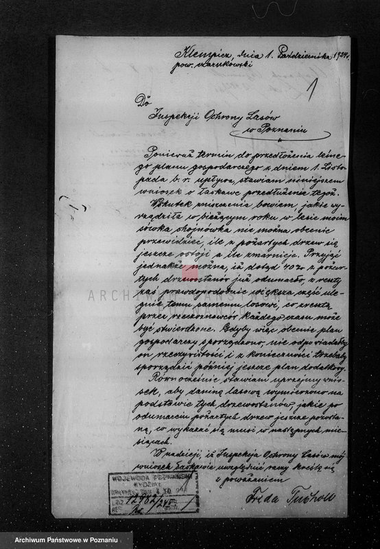 Obraz 5 z jednostki "Nadzór nad lasami/ majątku Klempicz powiatu czarnkowskiego"