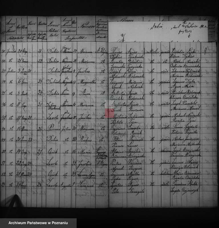 image.from.unit.number "Duplikatus baptisatorum, copulatorum, mortuorum"