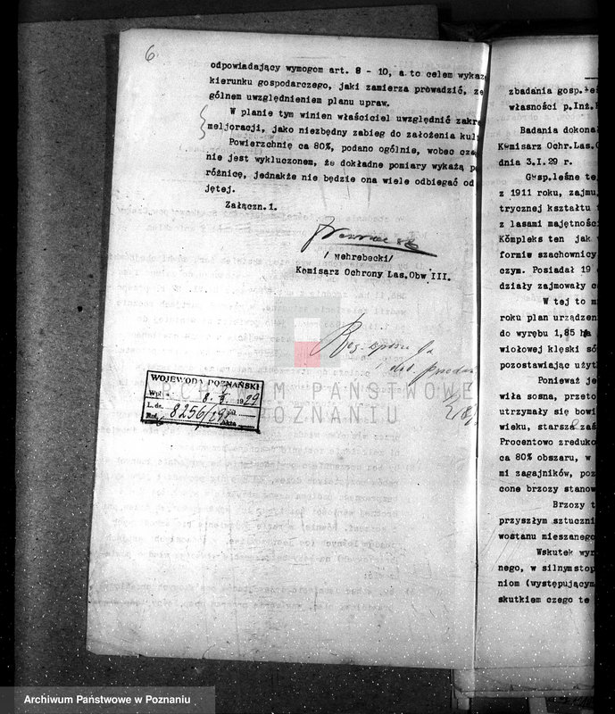 Obraz 12 z jednostki "Nadzór nad gospodarką leśną w lasach majętności Stajkowo powiecie czarnkowskim"