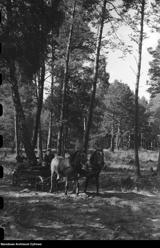 image.from.unit.number "Krajobraz Drohiczyna i okolic. Rodzina Tuszko"