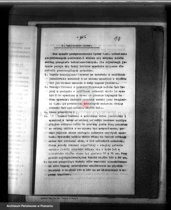 Obraz 14 z jednostki "Dodatkowy plan urządzenia gospodarstwa leśnego dla lasu majętności Grzuszyn powiat szamotulski"