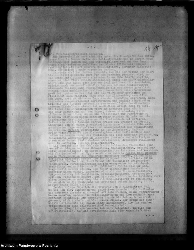 Obraz 18 z jednostki "Notschlachtungen"