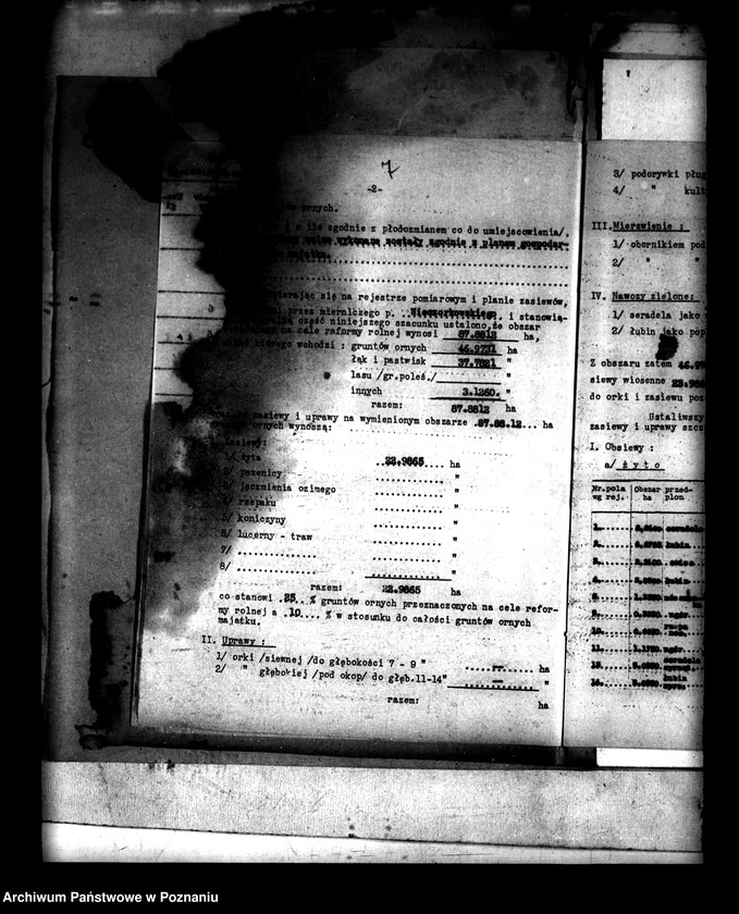 Obraz 11 z jednostki "Administracja przejściowa majątku Rataje powiatu konińskiego"