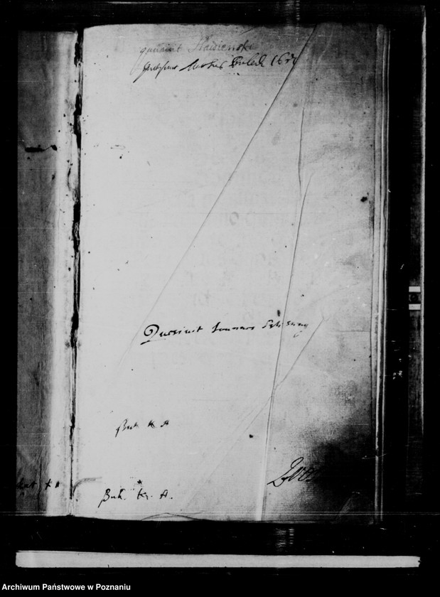 Obraz 4 z jednostki "Inscriptiones, relationes, decreta [inducta]"