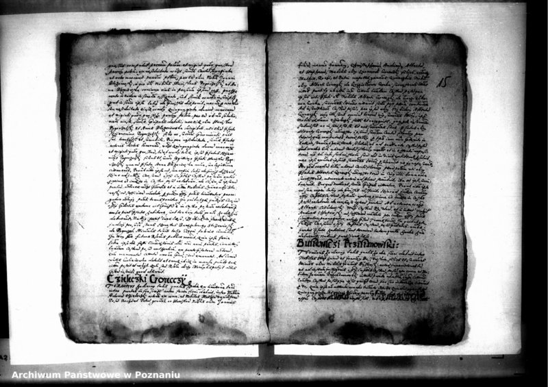 Obraz 17 z jednostki "Decreta officii [inducta]"