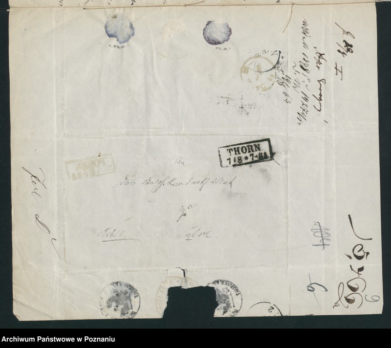 Obraz 13 z jednostki "A. betr. Fräulein Kamilla Dąbska"