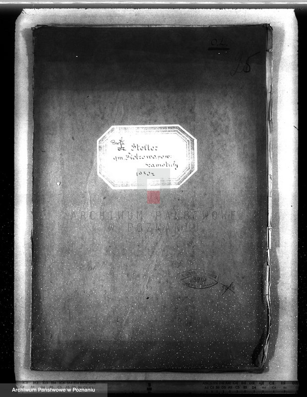 Obraz 4 z jednostki "Plan urządzenia gospodarstwa leśnego dla lasu Berty Stelter w Piotrowie powiat szamotulski 1930-1940"