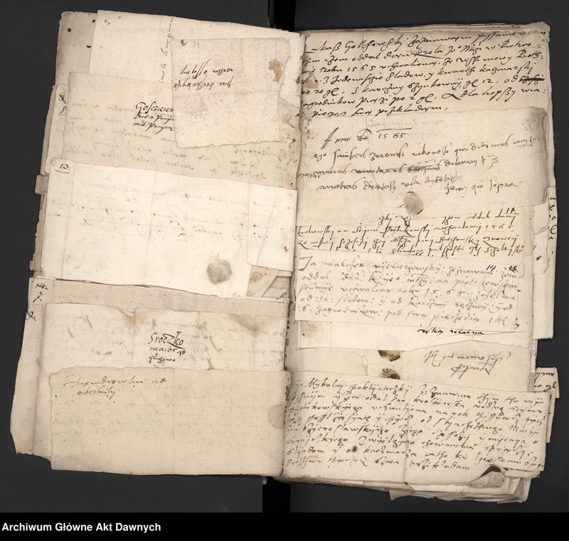 image.from.unit.number "Rekognicje poborowe z różnych województw."