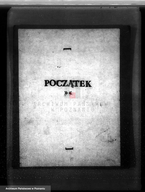 Obraz 3 z jednostki "Program gospodarczy dla lasu Adolfa Witta w gminie Jasionna powiat szamotulski"