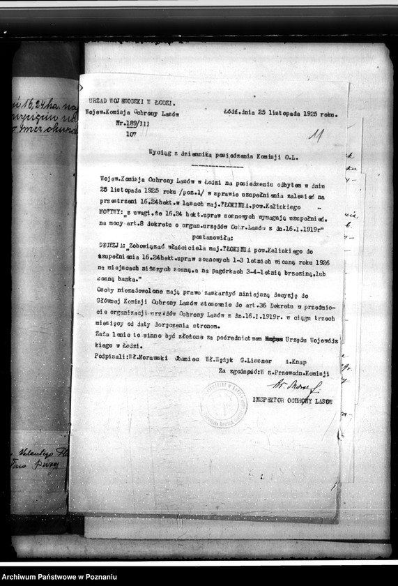 Obraz 15 z jednostki "Sprawa o niedostateczne zalesienie lasu 16,24 ha w majątku Tłokinia"