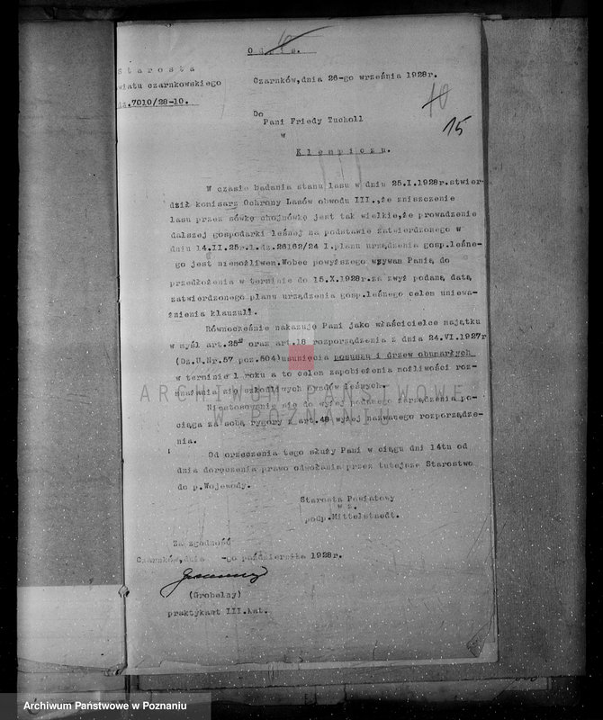 Obraz 19 z jednostki "Nadzór nad lasami/ majątku Klempicz powiatu czarnkowskiego"