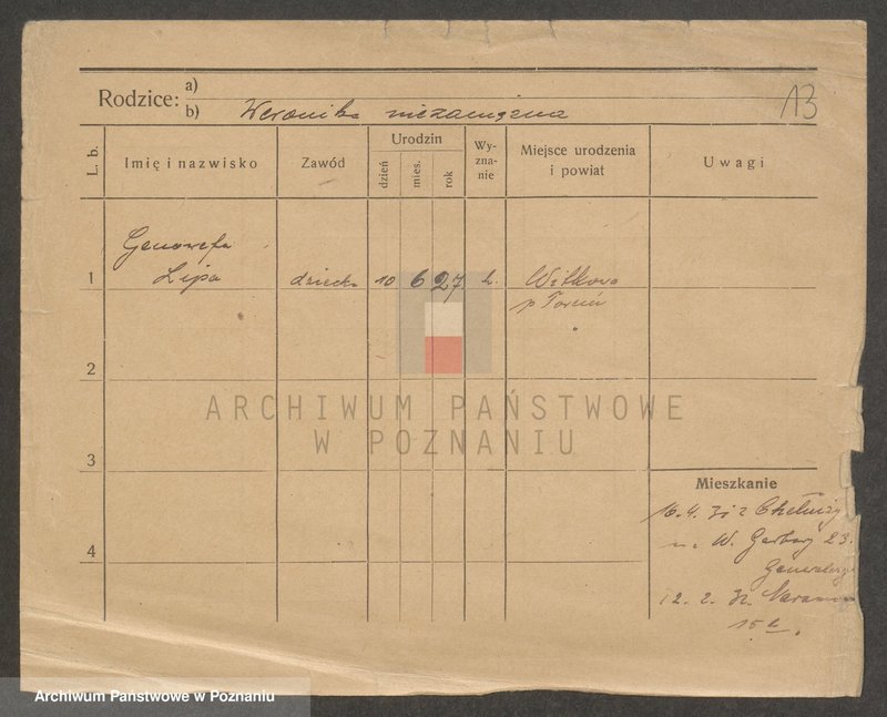 Obraz 13 z jednostki "Lip - Lipinski"