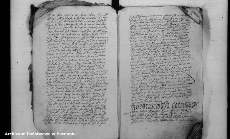 Obraz 8 z jednostki "Inscriptiones [inducta]"