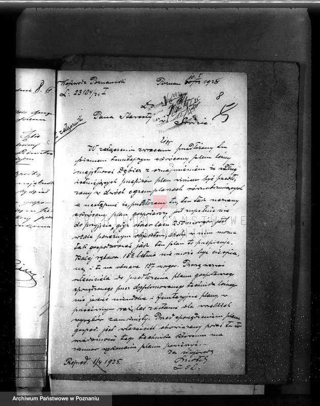 Obraz 12 z jednostki "Nadzór nad gospodarką w lasach majętności Dębicz powiat średzki"