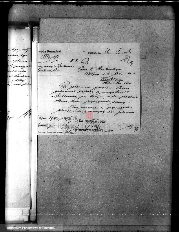 Obraz 17 z jednostki "Majętność leśna Sarbinowo w powiecie gostyńskim"